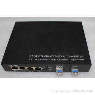 2 Port Gigabit SFP 4 Port Tp Fiber Optic Switches Ethernet